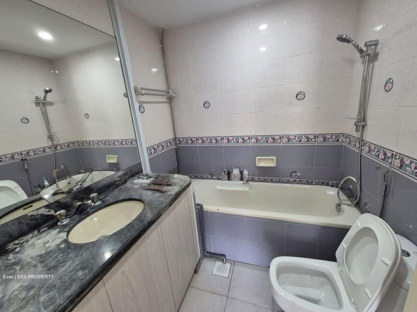 Emerald Park (D3), Condominium #589389091
